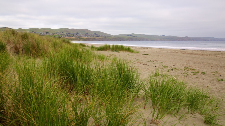 Doran Beach featuring general coastal views and a sandy beach
