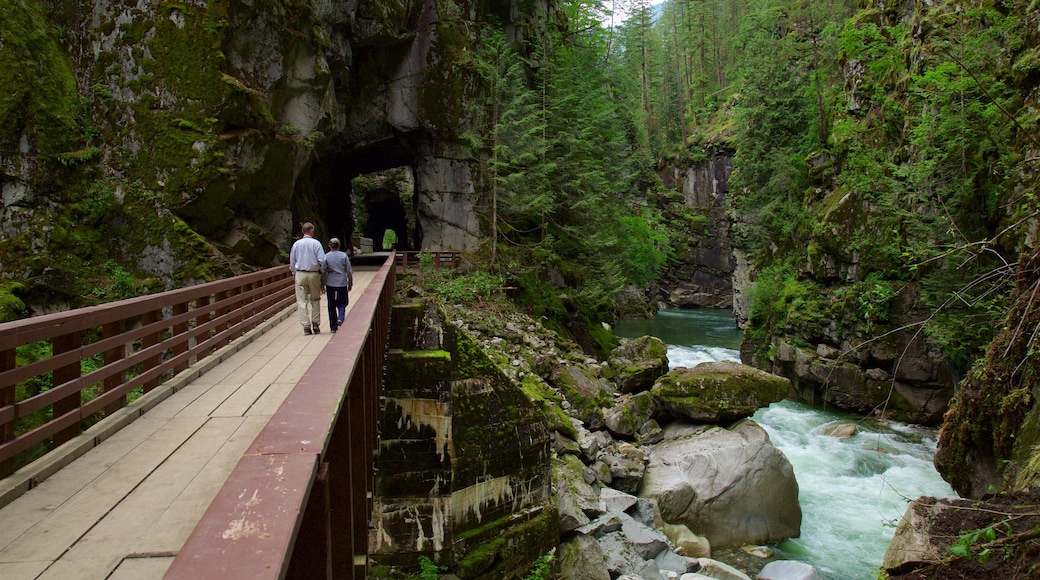 Vancouver Coast which includes a bridge, forest scenes and a river or creek