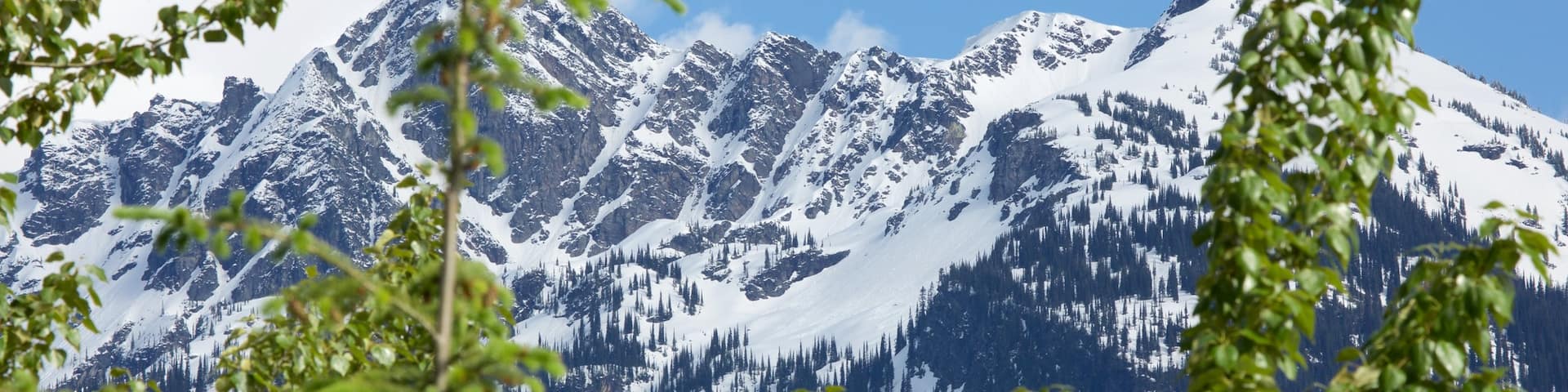 Mount Revelstoke National Park featuring snow and mountains