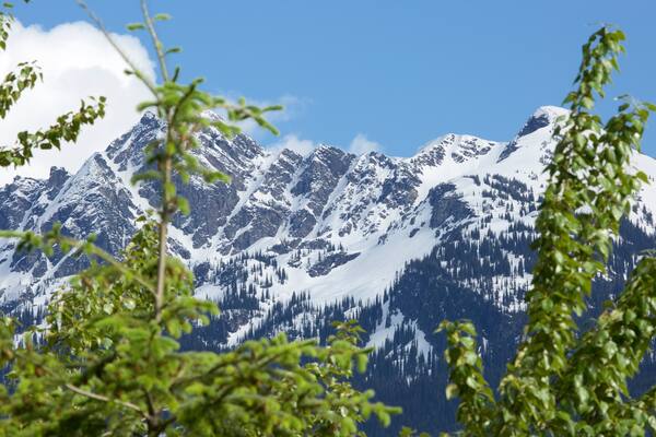 Parc national de Mount Revelstoke montrant montagnes et neige