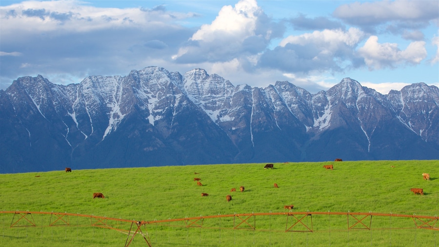 Fort Steele showing land animals, mountains and tranquil scenes