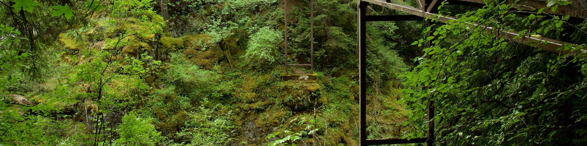Englishman River Falls Provincial Park which includes a bridge and forest scenes