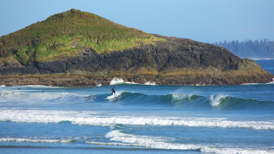 Long Beach bevat surfen, algemene kustgezichten en ruige kustlijn