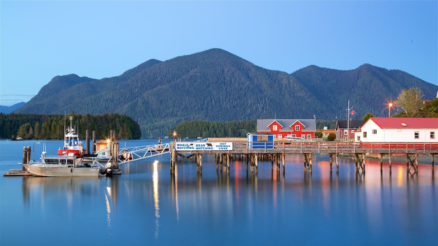 Tofino showing tranquil scenes and a lake or waterhole