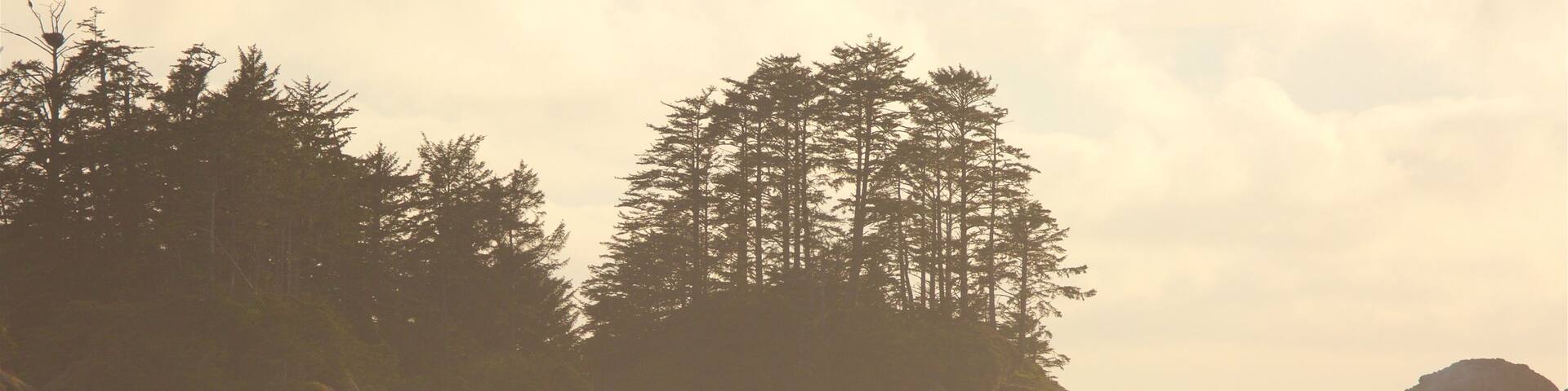 Chesterman Beach showing a sunset, general coastal views and a beach