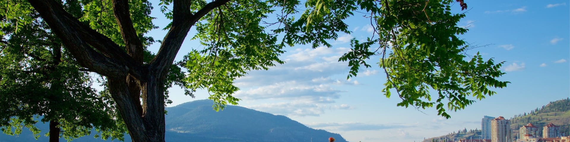 City Park which includes a park, a lake or waterhole and cycling