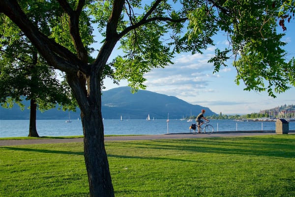 City Park montrant vélo, parc et lac ou étang