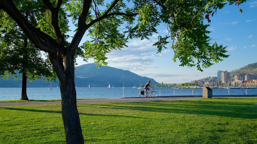 City Park showing cycling, a lake or waterhole and a garden
