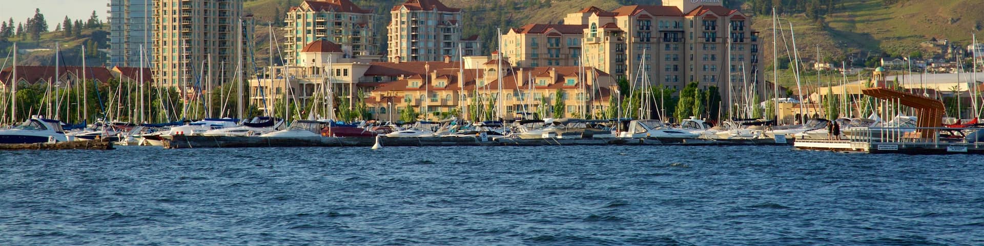 City Park which includes general coastal views, a coastal town and tranquil scenes