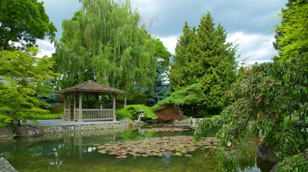 Kasugai Gardens which includes a pond and a park