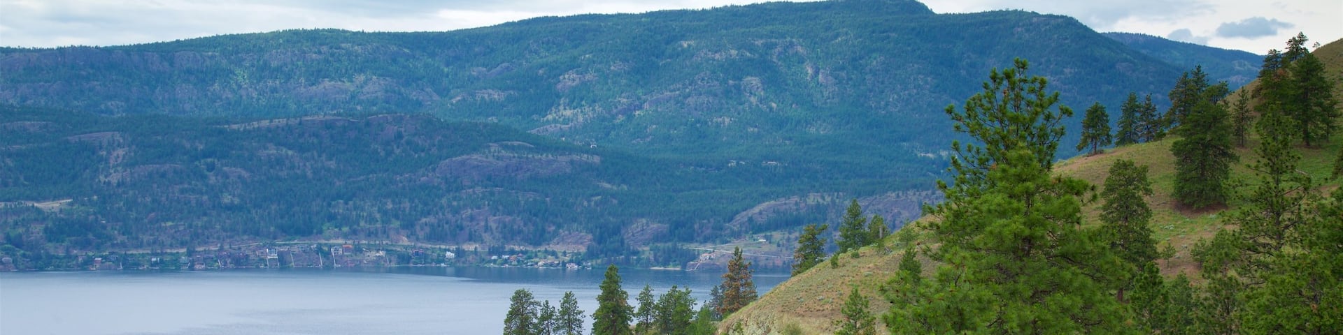 Knox Mountain Park showing tranquil scenes and a lake or waterhole