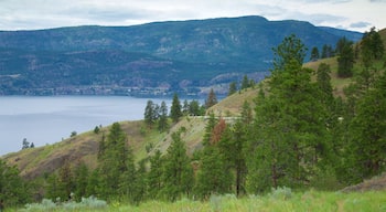 Knox Mountain Park som visar stillsam natur och en sjö eller ett vattenhål