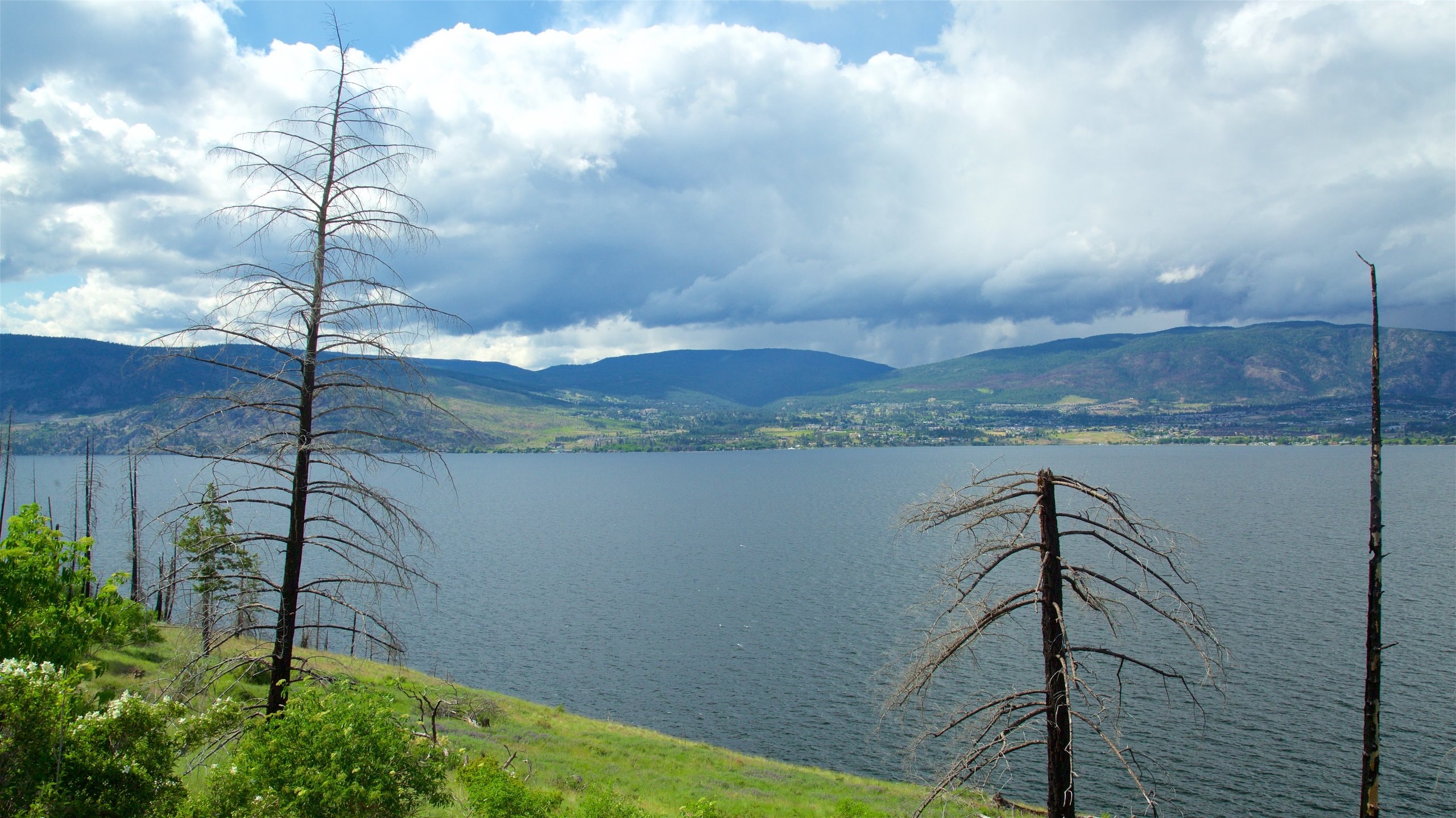 Downtown Kelowna, Kelowna Vacation Rentals condo and apartment rentals