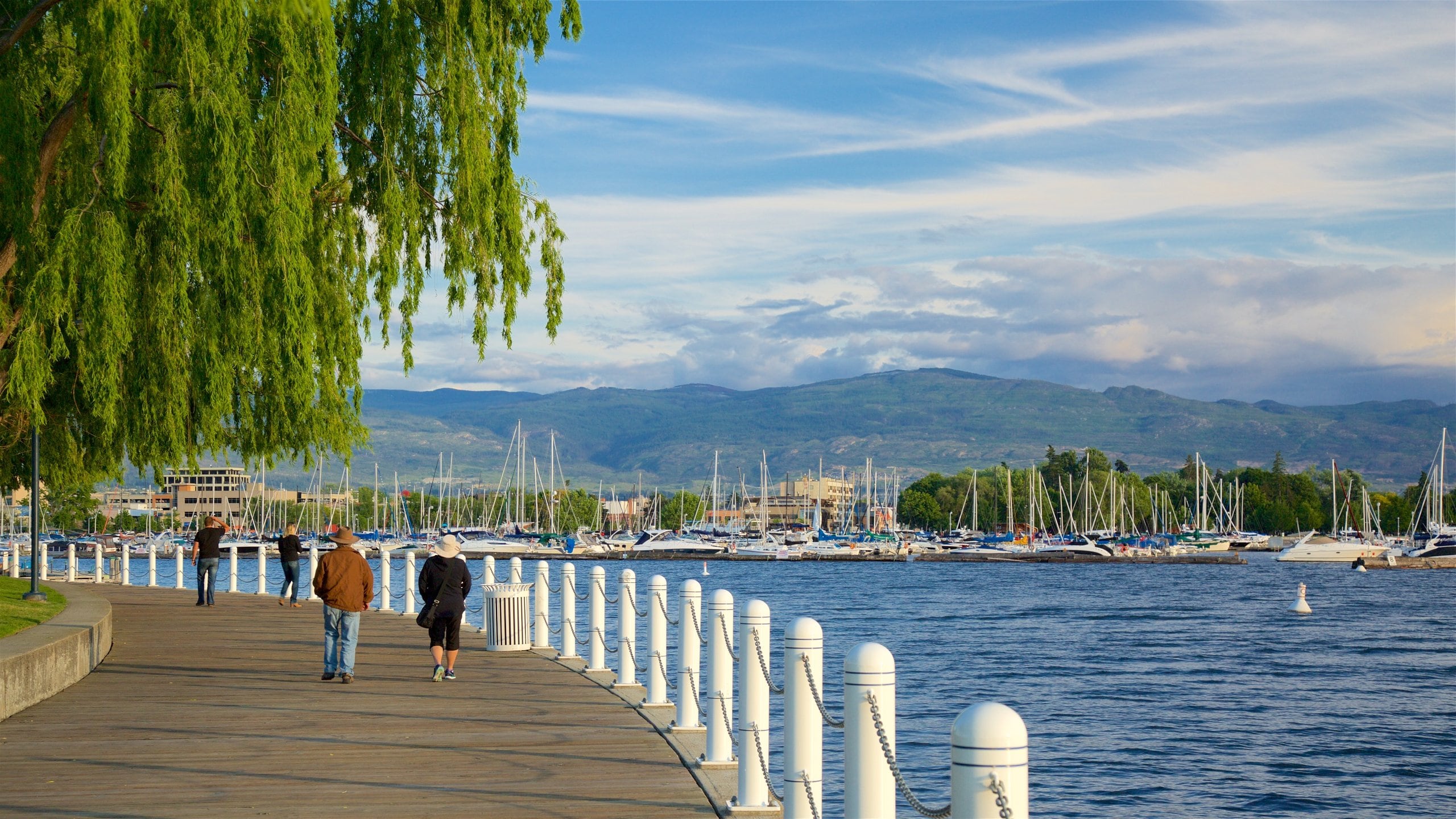 Parque Waterfront ofreciendo una bahía o puerto y también una pareja