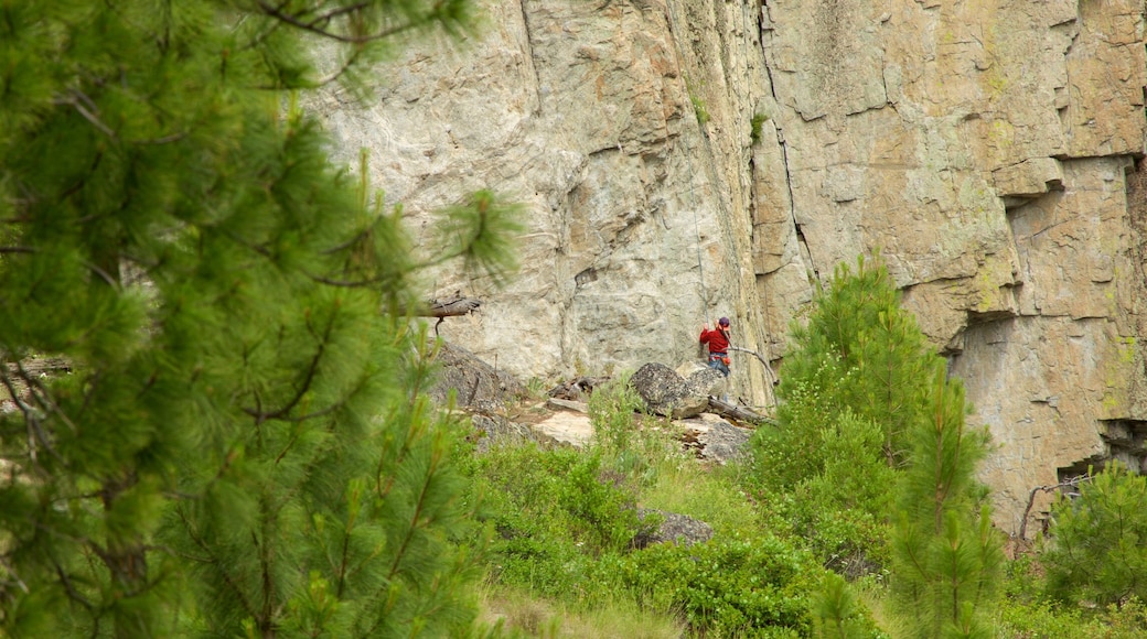 Skaha Bluffs Provincial Park featuring climbing as well as an individual male