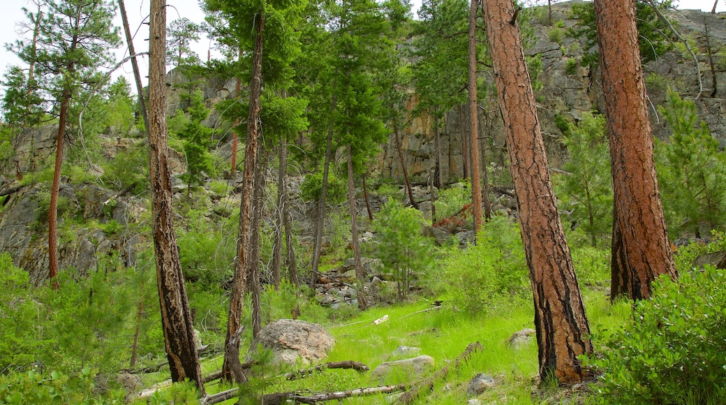 Parque provincial Skaha Bluffs que incluye escenas tranquilas