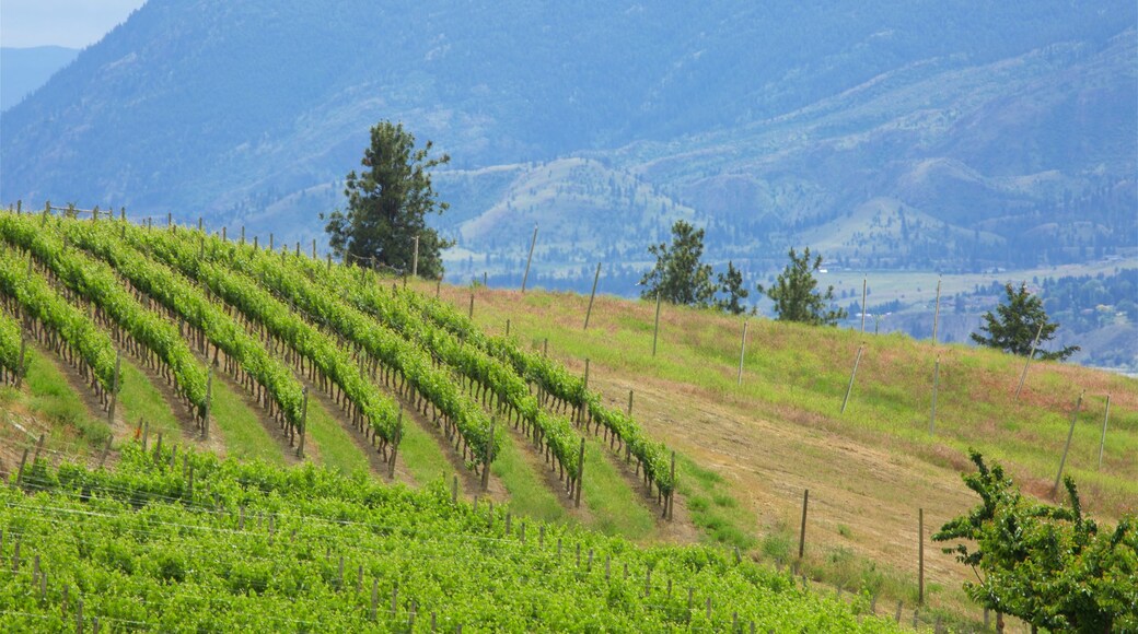 Penticton montrant scĂšnes tranquilles, panoramas et ferme