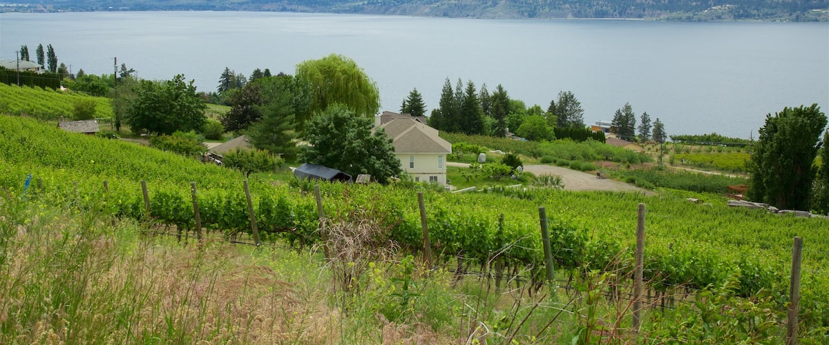 Thompson Okanagan ofreciendo un lago o abrevadero, tierras de cultivo y escenas tranquilas