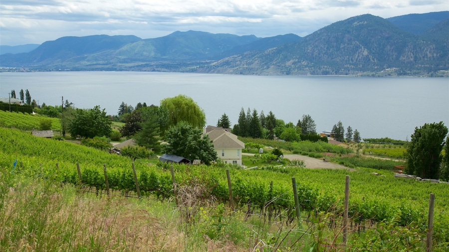 Thompson Okanagan ofreciendo tierra de cultivo, situaciones tranquilas y un lago o laguna