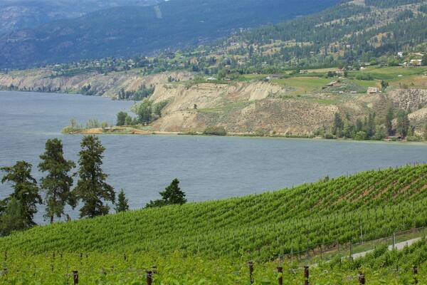 Penticton showing a lake or waterhole, tranquil scenes and farmland