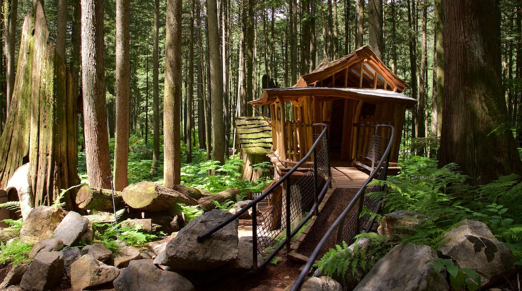 Forêt enchantée mettant en vedette forêts et éléments du patrimoine