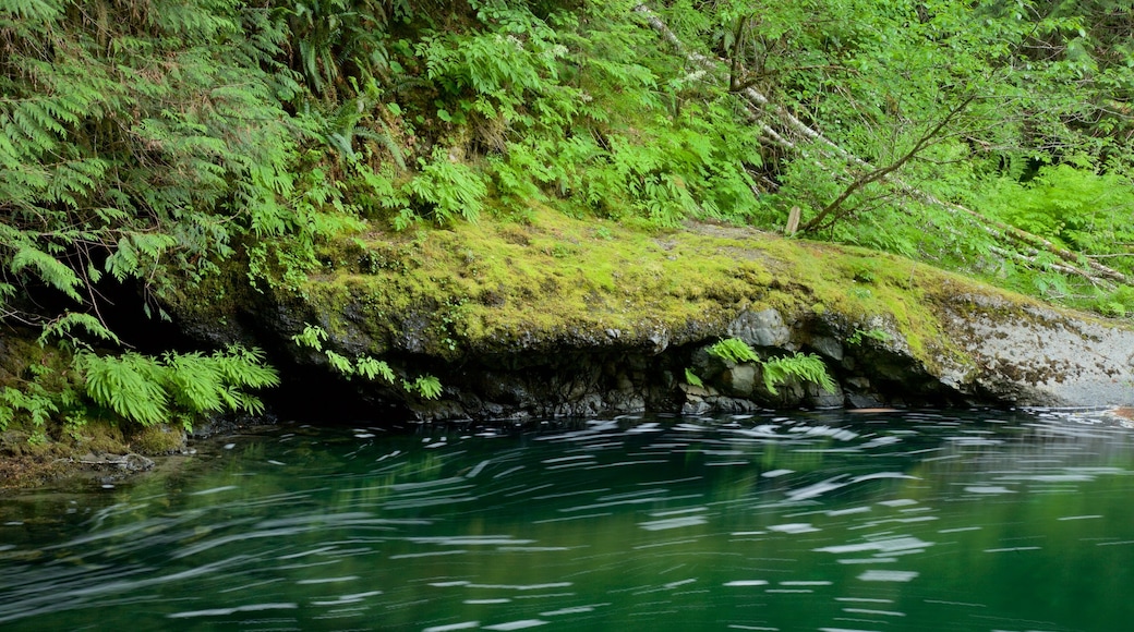 Englishman River Falls Provincial Park das einen Fluss oder Bach