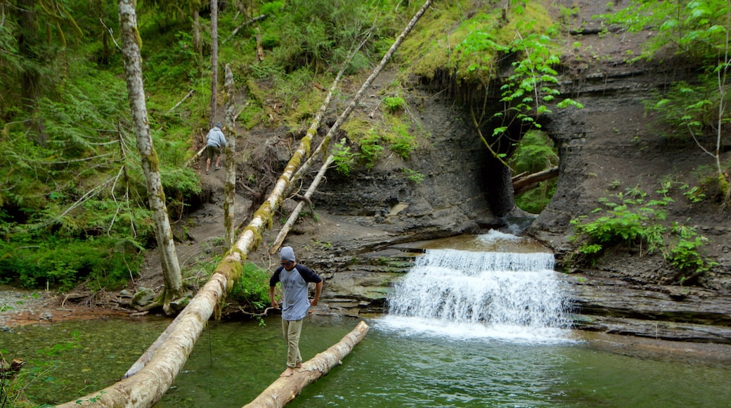 Port Alberni featuring a river or creek as well as an individual male