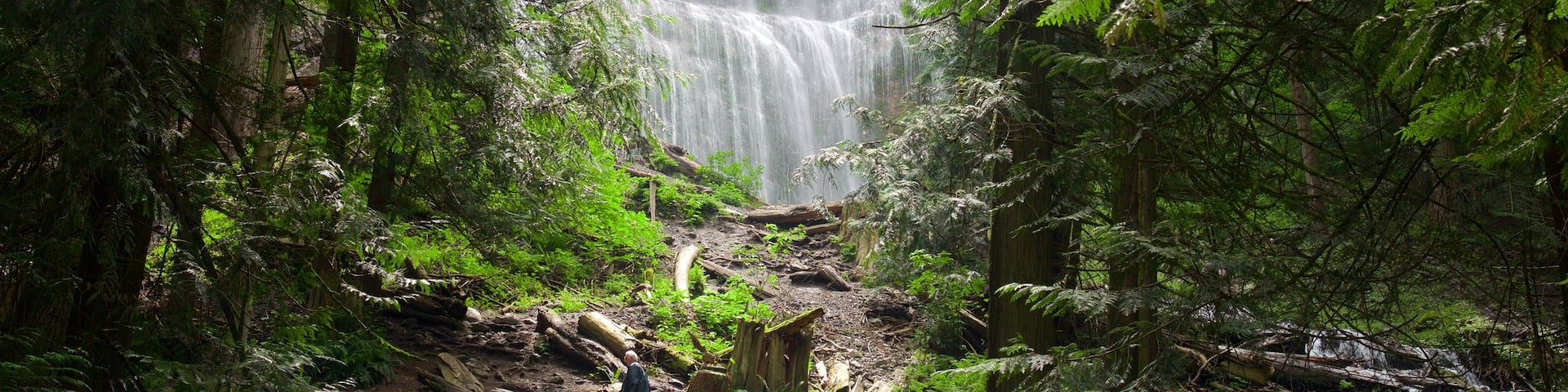 Bridal Veil Falls showing a waterfall and forest scenes