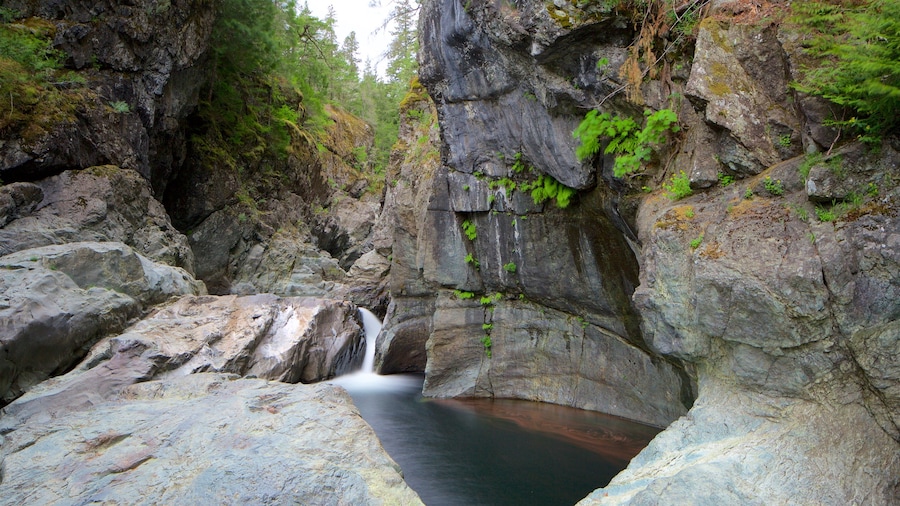 Sooke featuring a river or creek