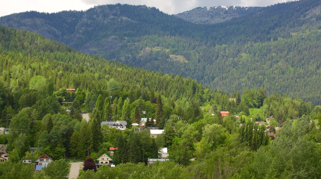 Rossland which includes tranquil scenes and a small town or village