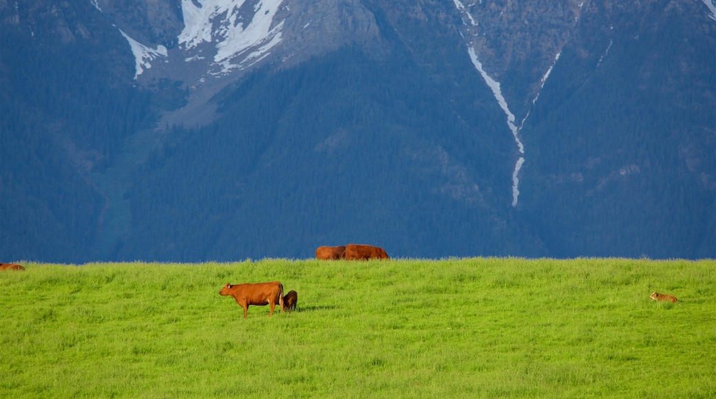 Fort Steele featuring tranquil scenes, land animals and mountains