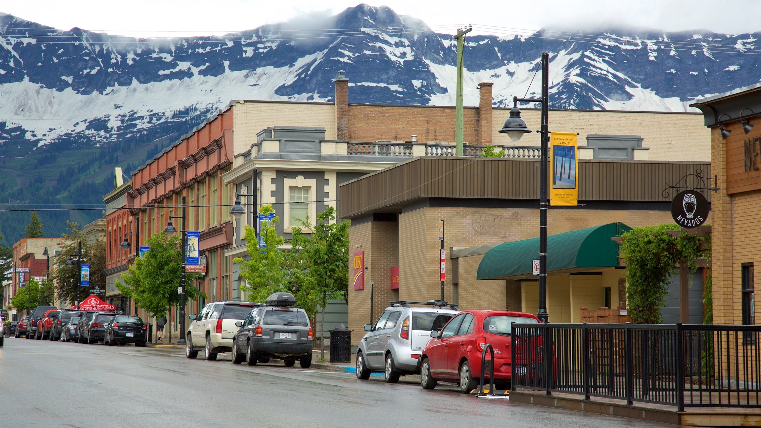 Fernie showing snow and mountains