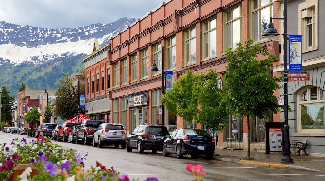 Fernie featuring flowers, snow and mountains