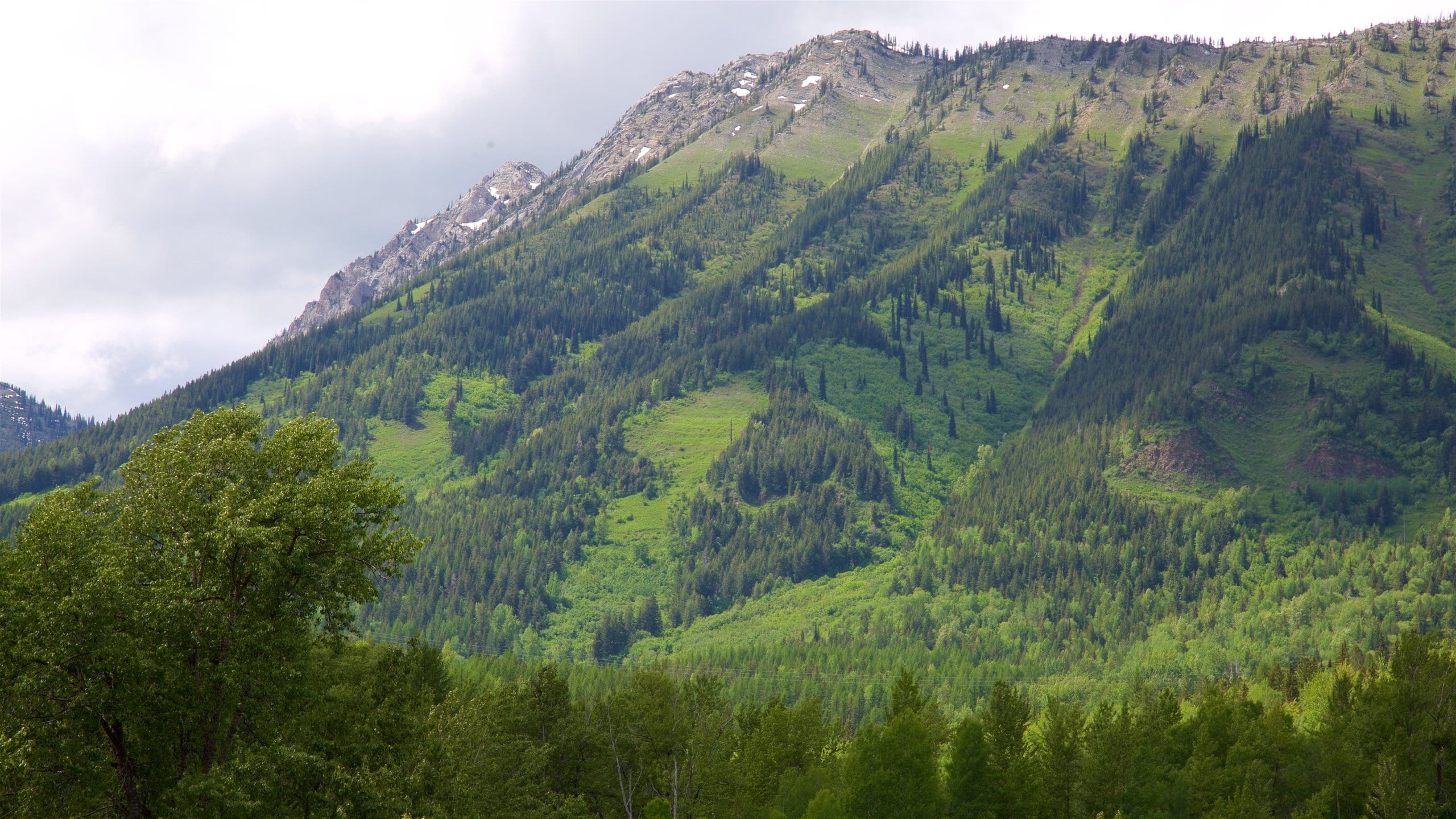 Fernie which includes tranquil scenes