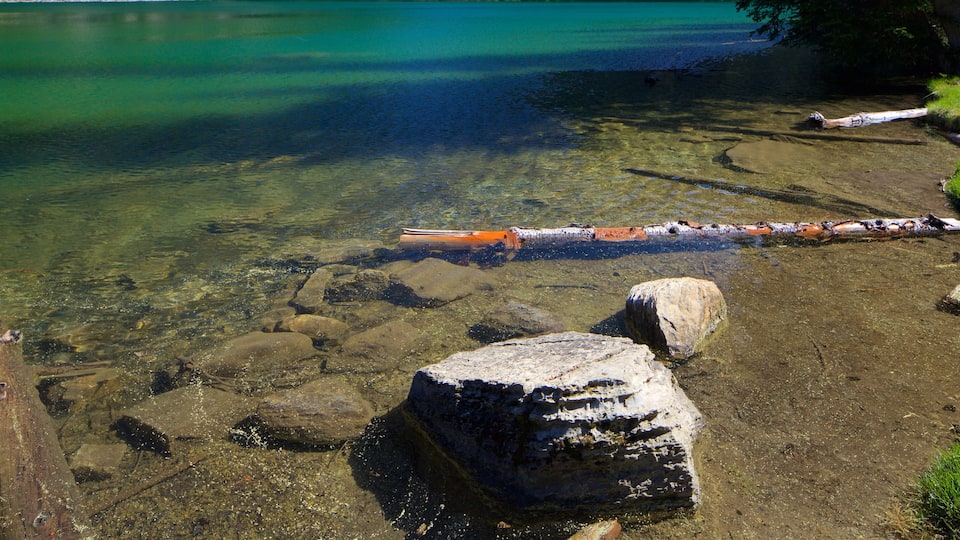 Fernie que incluye un lago o abrevadero