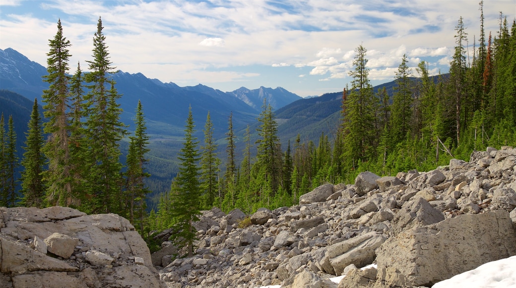 Top of the World Provincial Park showing tranquil scenes