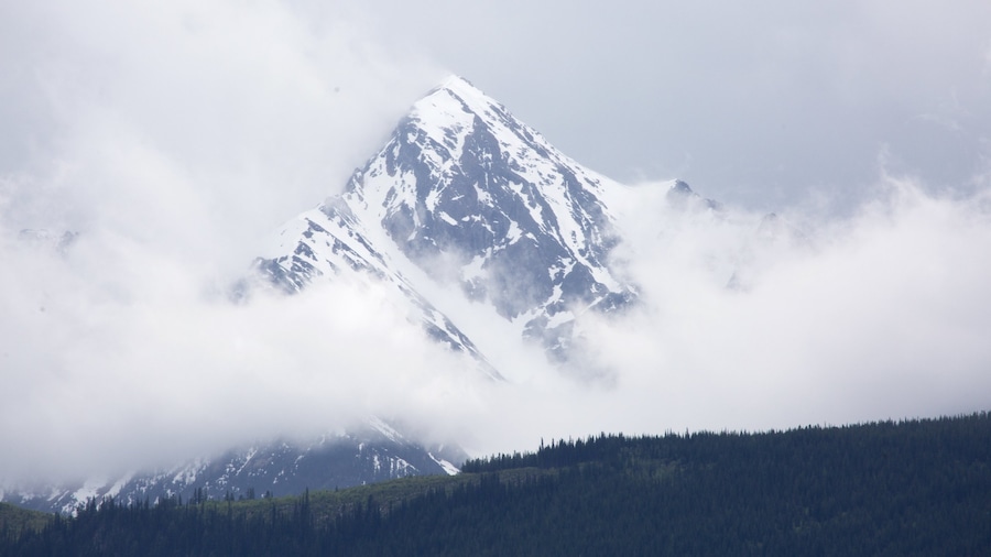 Golden mostrando montagna, neve e nebbia e foschia