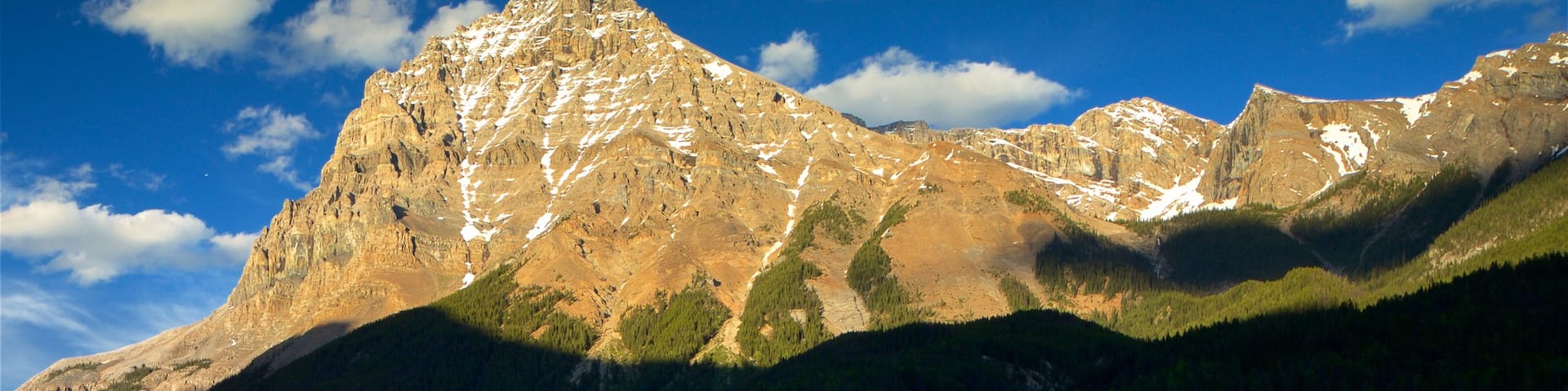 Field showing mountains