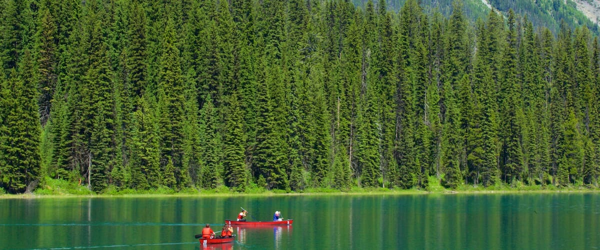 Yoho National Park showing a lake or waterhole, forests and kayaking or canoeing