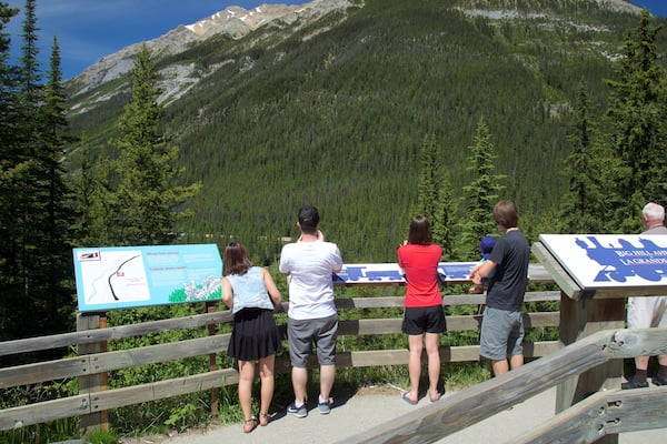 Yoho National Park showing views, tranquil scenes and signage