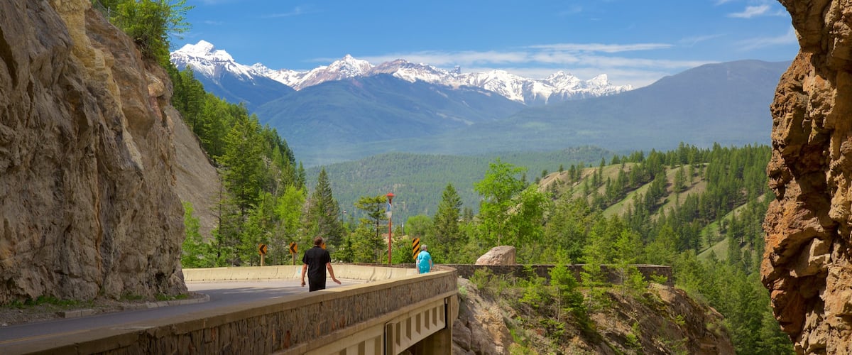 Kootenay National Park showing tranquil scenes as well as an individual male