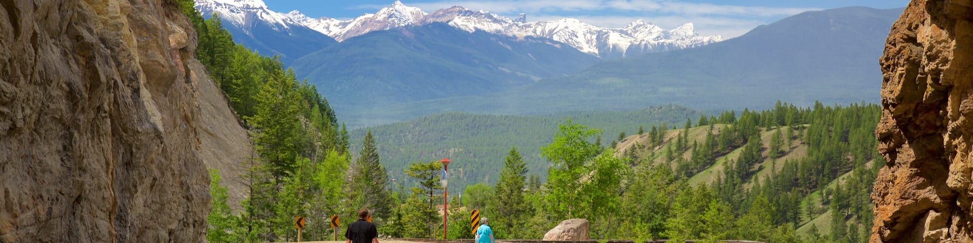 Kootenay National Park showing tranquil scenes as well as an individual male