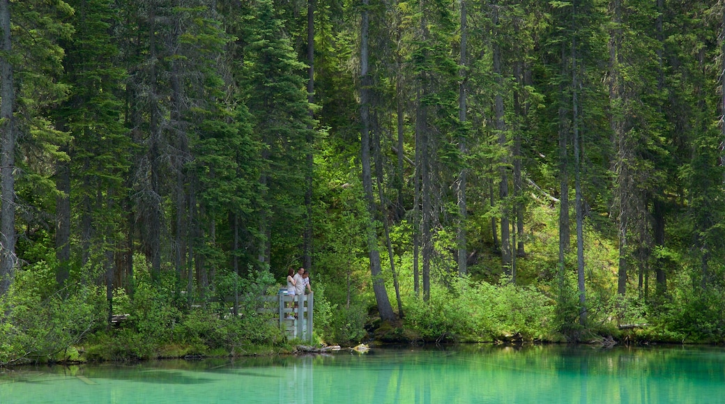 Kootenay National Park ofreciendo bosques y un lago o espejo de agua y también una pareja