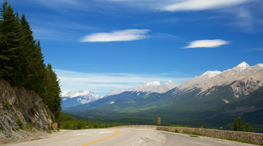 Purcell Wilderness Conservancy Provincial Park