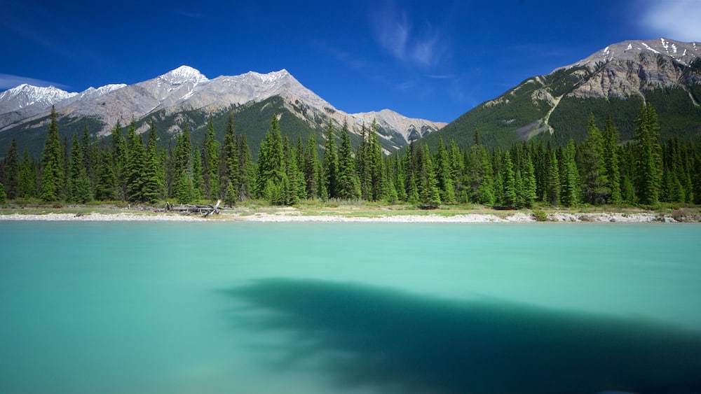 Kootenay National Park featuring tranquil scenes and a river or creek