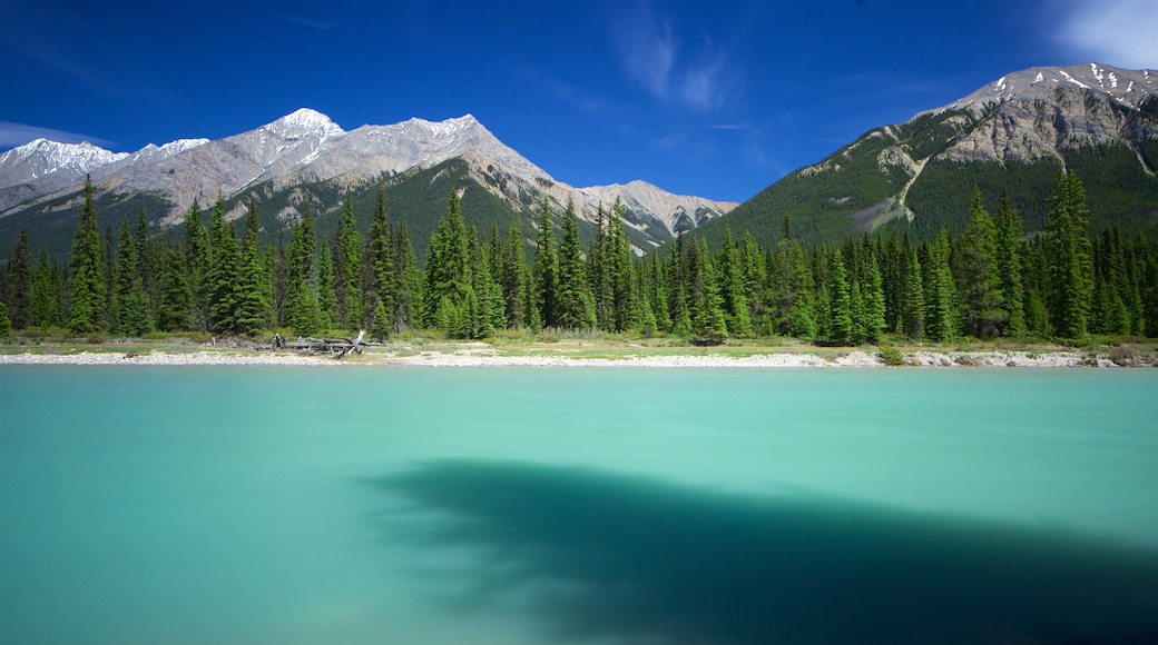 Kootenay National Park mostrando un río o arroyo y escenas tranquilas