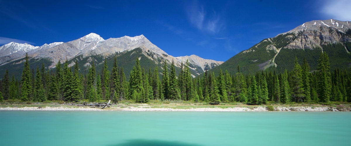 Kootenay National Park showing tranquil scenes and a river or creek
