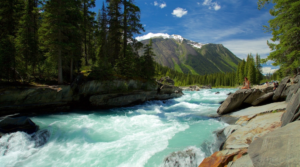 Kootenay National Park showing rapids and tranquil scenes