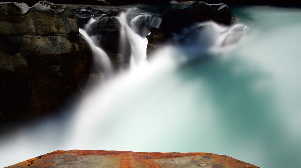 Nationaal park Kootenay toont een rivier of beek