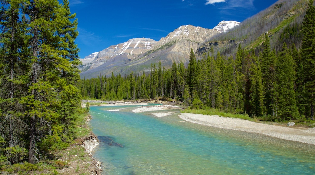 Kootenay National Park que incluye escenas tranquilas, un río o arroyo y montañas